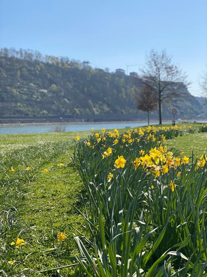 Kusch'Lige Kleine Wohnung Koblenz  Luaran gambar